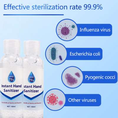 100ml Disposable Hand Sanitizer Travel Portable Hand Sanitizer Gel Moisturizing Liquid Disposable No Clean Waterless Hand Gel