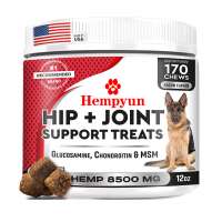 Hempyun-Dog Joint Supplement Support for Dogs with Glucosamine Chondroitin & MSM &Turmeric 170 chews