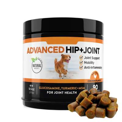 Improve Injury Flexibility Hip Dysplasia Dogs Joints Tissues Cartilage Glucosamine HCL Dog Chews